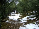 DSC03841.JPG