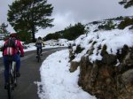 DSC03851.JPG