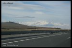 IMG_3767.jpg