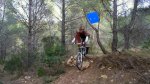 DSC01334.JPG
