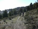 IMG_0009.JPG