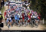 eroica11-field.jpg
