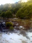 05032011166.jpg