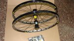 DSC05793.JPG