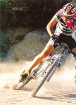 IMG_001.gif