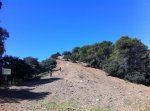 IMG_0239_1.jpg