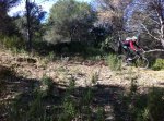 IMG_0241_1.jpg