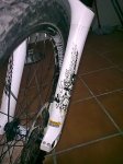 Imagen0043.jpg