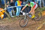 fontana2011.jpg