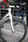 img1274t.jpg