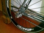 BICIs33.JPG