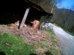 PICT0025.JPG