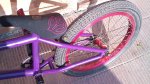 DSC04977.JPG