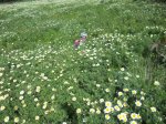DSCN0202.jpg