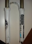 DSC04753.jpg