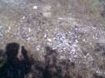 Imagen012.jpg