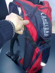 small_11032011645.jpg