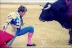 toros 1.jpg