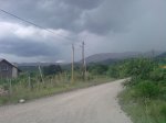 P070311_13.33.jpg