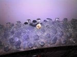 2011-03-11_18-35-24_869.jpg