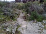 10032011453.jpg