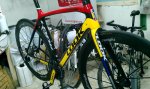 IMAG0065_800x478.jpg