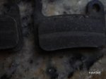DSC08980-1.JPG