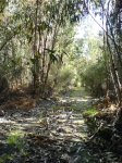 DSC01102.JPG