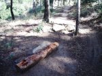 DSCF3389.JPG
