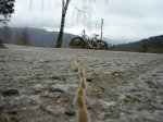 P1010438.JPG