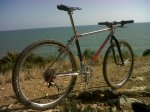 IMG00393-20110310-1529.jpg