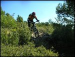 PICT0021.jpg