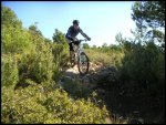 PICT0034.jpg