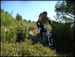 PICT0029.jpg