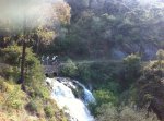 IMG_0267_1.jpg
