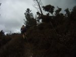 GOPR3567.jpg