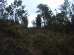 GOPR3194.jpg