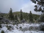 IMG_4596.JPG