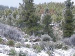 IMG_4597.JPG