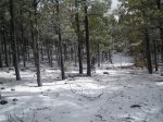 IMG_4620.JPG