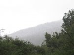 IMG_4646.JPG