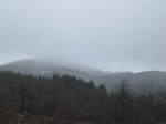 IMG_4645.JPG
