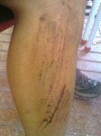 23102010597.jpg