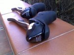 10032011289.jpg