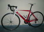 roja 02.jpg