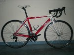 roja 01.jpg