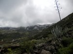 DSCN0270.jpg