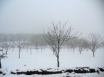 DSCN0284.jpg