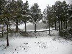 DSCN0283.jpg
