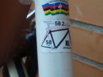 BICI33.jpg